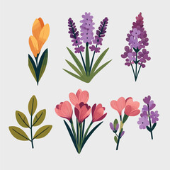 Collection of charming flowers and floral elements illustration.
