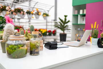 A beautifully arranged florist shop interior featuring plants, a laptop, and payment equipment on a white table.