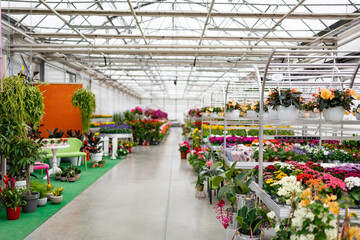 A vibrant florist shop filled with a diverse selection of colorful flowers and lush greenery, displayed for sale.