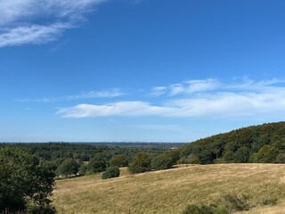 Fototapeta premium landscape with trees and clouds