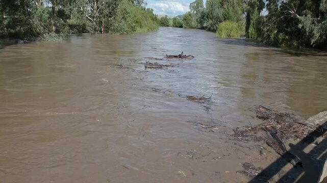 River in flood with floating debris and muddy floodwater