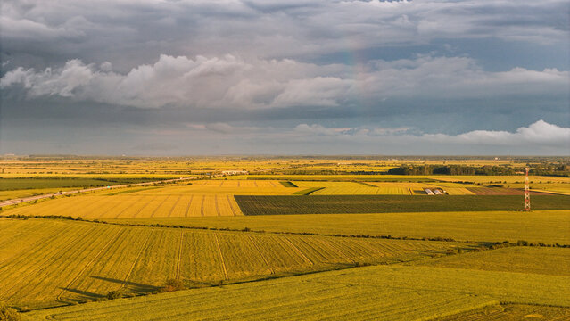 Golden Fields of Gherghița. An aerial view showcases the expansive golden fields in Gherghița, Prahova County, Romania. The vibrant yellow crops, likely rapeseed, stretch under a cloudy sky.