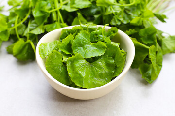 Gotu kola, fresh green leaves