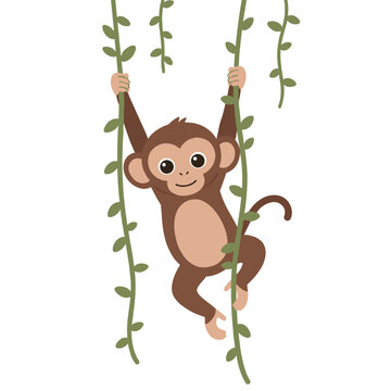 Cartoon monkey swinging happily on leafy vines against a crisp, white background, vector illustration