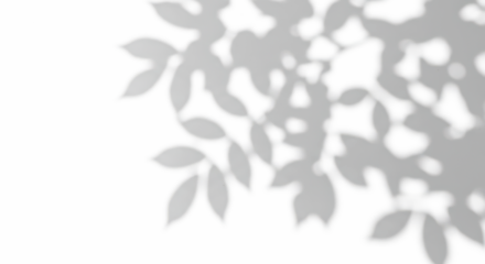 Shadows leaves texture background abstract nature plants foliage sunlight overlay design backdrop