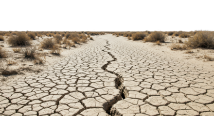 Dry cracked earth drought landscape arid climate change global warming desertification soil