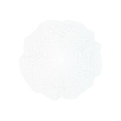 Light geometric web, delicate circular grid, airy abstract art, seamless digital background, elegant design