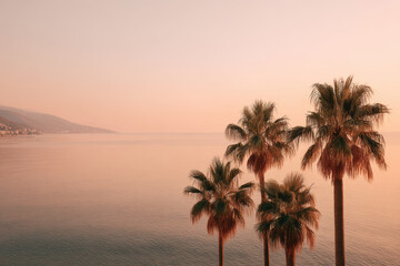 Obraz premium serene landscape of yalta featuring palm trees and focus on sea at sunset