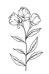 Obraz premium Floral sketch drawing plant.