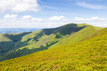 Obraz premium green mountain landscape with rolling hills. nature environment. beautiful view of borzhava ridge on a sunny day. outdoor adventure. grassy alpine meadow