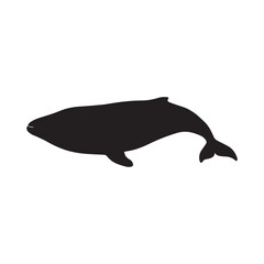 Whale Silhouette Illustration Silhouette white background.