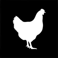 A white chicken silhouette standing on a black background looking to the right