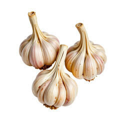 Obraz premium Fresh Organic Garlic Bulbs on White Background Perfect for Culinary and Health Illustrations