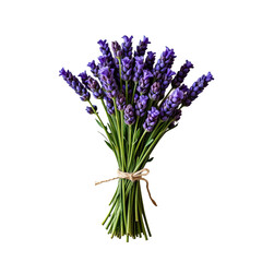 Obraz premium Vibrant Lavender Bouquet with Green Stems Tied with a Natural String for Floral Arrangement and Decor