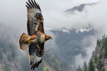 Brown Eagle Soaring in Misty Mountain Landscape