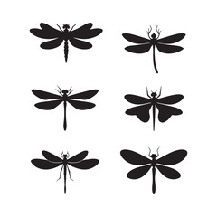 Obraz premium Flying graphic dragonfly. Texture, high detail, Isolate on white background