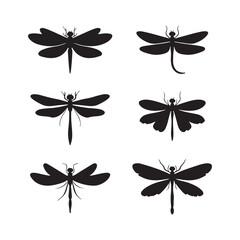 Fototapeta premium Set of Dragonfly logo. Icon design, Stencil animal. Vector stock illustration