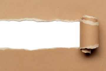 Torn kraft paper with curled edge isolated on transparent background