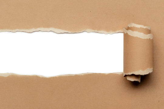 Torn kraft paper with curled edge isolated on transparent background