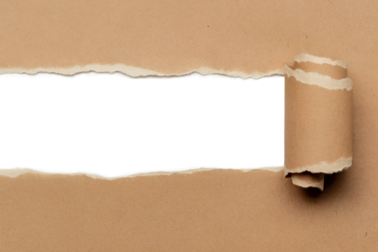 Torn kraft paper with curled edge isolated on transparent background