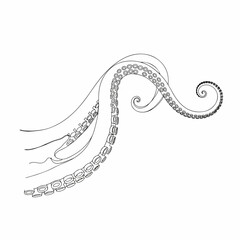 Octopus Tentacle Line Art: A delicate line art illustration of an octopus tentacle gracefully swirling with intricate detail, emphasizing its suction cups and fluid curves.