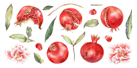 Red pomegranates, seeds, foliage, flowers clipart set. Hand drawn watercolor ripe fruits illustration isolated on white. For stickers, summer decor, Rosh Hashanah greeting design, cards, branding.