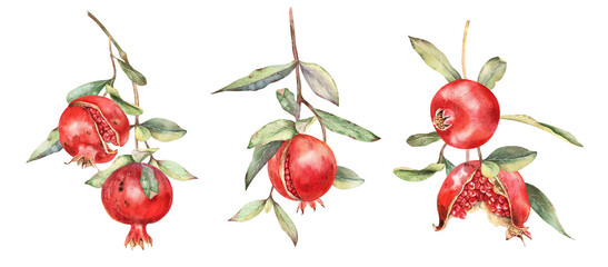 Red pomegranates with green leaves, seeds on tree brunch clip art. Hand drawn watercolor illustration set isolated on white. Ripe fruits, foliage, stem, realistic sketch. Summer tropical design, art.