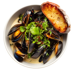 A bowl of mussels cooked in white wine sauce, garnished with fresh herbs and a slice of toasted baguette on the side, isolated with a white background.