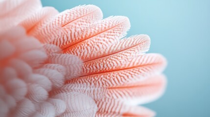 The image showcases a textured coral feather in soft hues, creating an artistic impression that evokes curiosity and passion with its intricate patterns and calming colors.