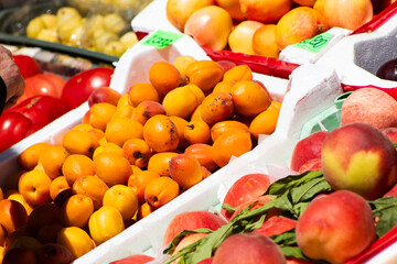 Fresh fruits and vegetables in market boxes under sunlight