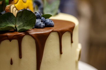 Cake with chocolate glaze, blueberries and green leaf decoration – macro photo of festive dessert