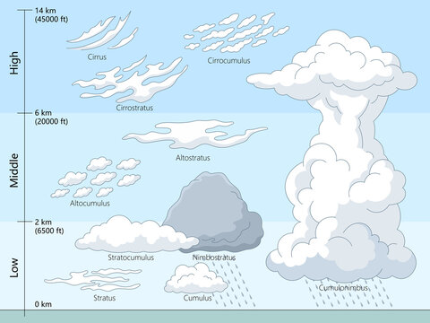 Educational diagram showing different cloud types categorized by low, middle, and high altitudes, including stratus, cumulus, cirrus, and cumulonimbus hand drawn schematic raster illustration. 