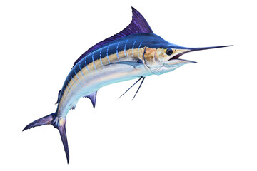 Leaping blue marlin fish isolated on a transparent background