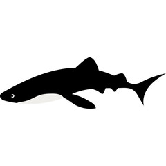 Sea Animal Illustration