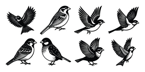 Silhouette vector bundles Sparrows In Flight And Perched Illustration Graphic.