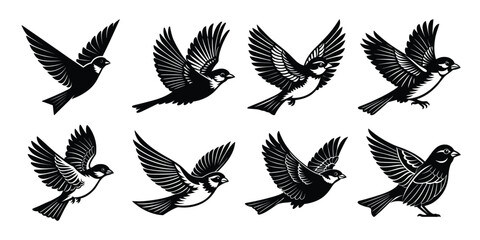 Silhouette vector bundles of Birds in Flight in a Sequence of Movements.