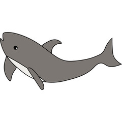 Sea Animal Illustration