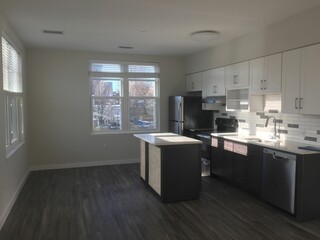 Contemporary Kitchen with Natural Light