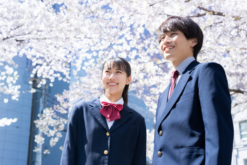 桜と高校生