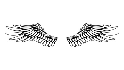 Wings sketch. Stylized birds wings. Hand drawn contoured stiker wing in open position. Vector design elements in coloring style
