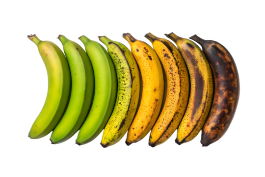 Banana ripening stages from green to overripe, food spoilage concept, fruit maturation chart, freshness timeline, nutrition education, aging process, produce shelf life, biology visual aid