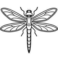 dragonfly vector illustration
