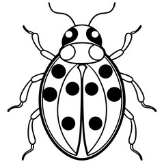 vector illustration of a ladybug