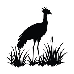 Secretarybird Grass Vector Silhouette