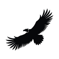 Vulture Flight Vector Silhouette