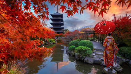 Japanese Woman in  Traditional Kimono Dress at Toji Temple in Kyoto, Japan with beautiful garden and autumn foliage