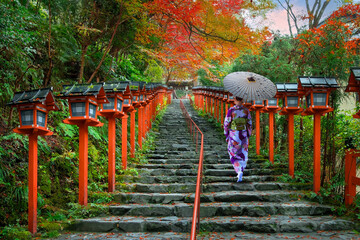 Japanese Woman in  Traditional Kimono Kifune Shrine in Kyoto, Japan with beautiful autumn scenery.