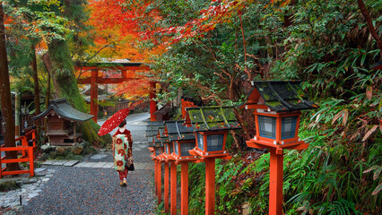 Japanese Woman in  Traditional Kimono Kifune Shrine in Kyoto, Japan with beautiful autumn scenery.