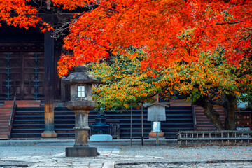 Shinnyodo or Shinshogokurakuji temple with beautiful autumn scenario in Kyoto, Japan