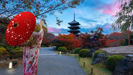 Japanese Woman in  Traditional Kimono Dress at Toji Temple in Kyoto, Japan with beautiful garden and autumn foliage